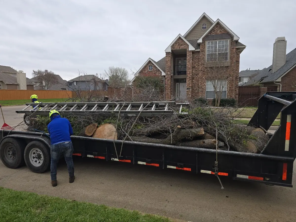 Expert Tree Pest Control with proper safety equipment in Wiggins